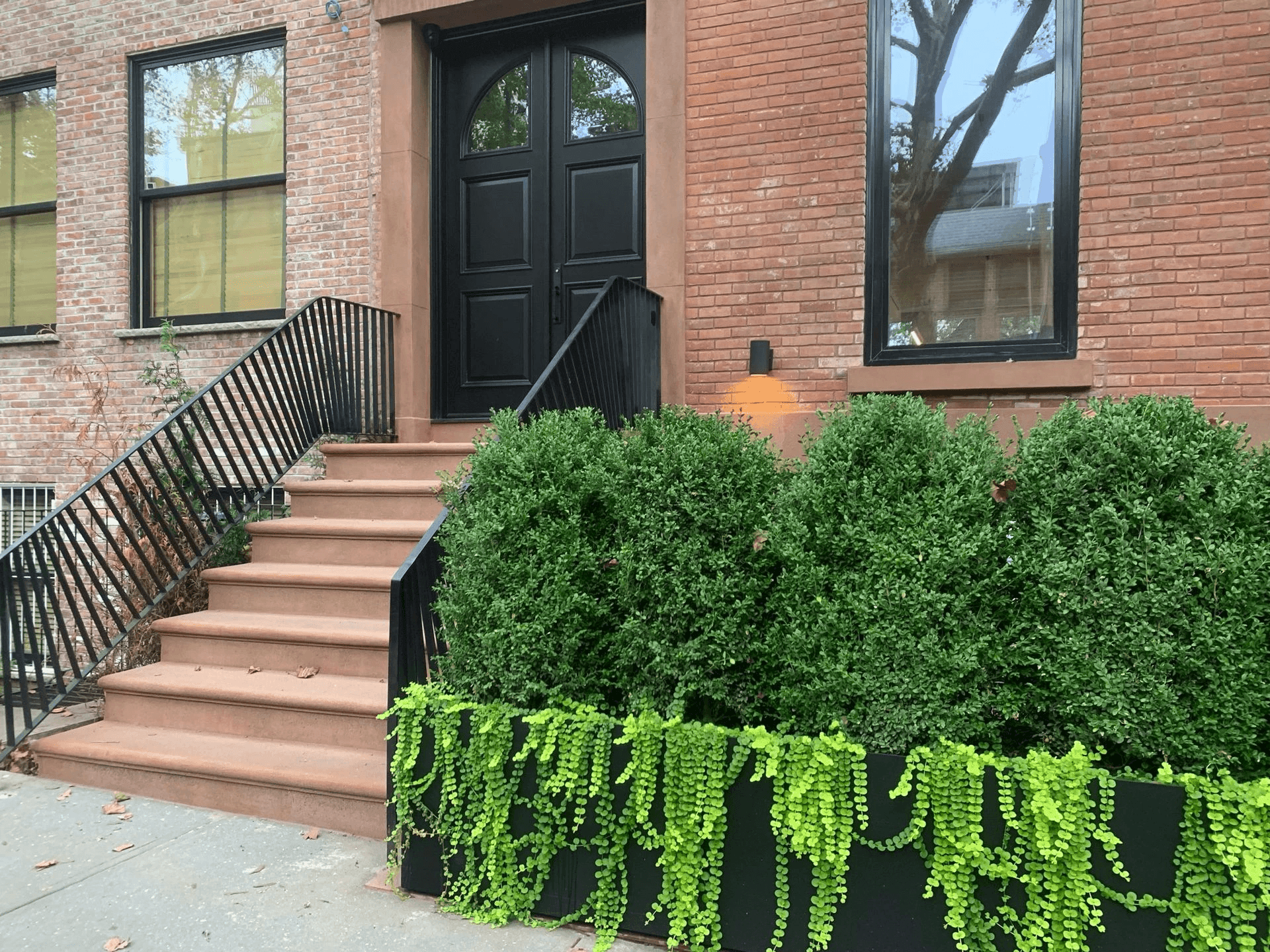 49 Douglass St